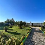 Ponari * Rrotull