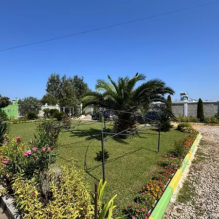 Apartment Ponari Rrotull